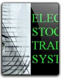 ELECTRONIC STOCK TRADING SYSTEM