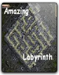 Amazing Labyrinth